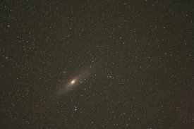 M31