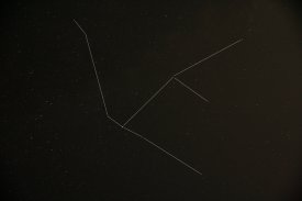 Adler